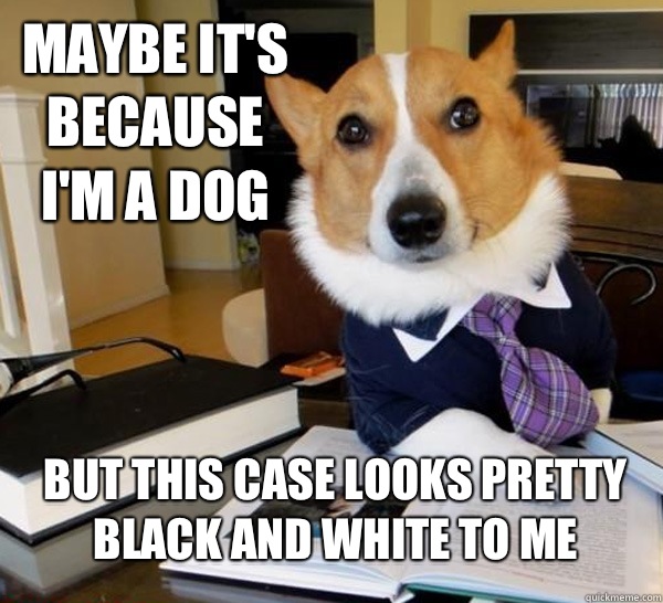 Maybe it's because I'm a dog But this case looks pretty black and white to me  Lawyer Dog