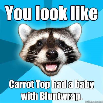 You look like Carrot Top had a baby with Bluntwrap.   Lame Pun Coon
