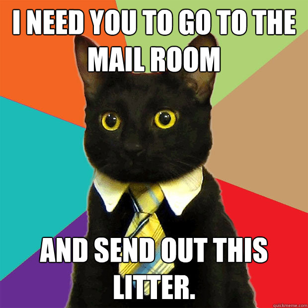 I NEED YOU TO GO TO THE MAIL ROOM And send out this litter.  Business Cat