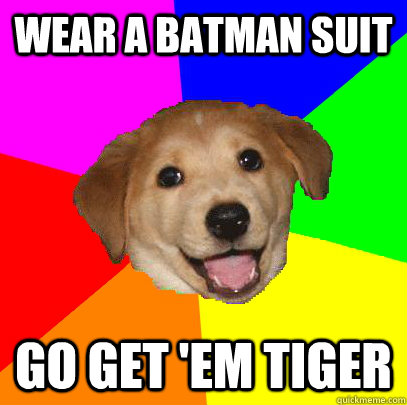wear a batman suit go get 'em tiger  Advice Dog