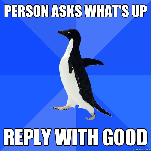 person asks what's up reply with good  Socially Awkward Penguin