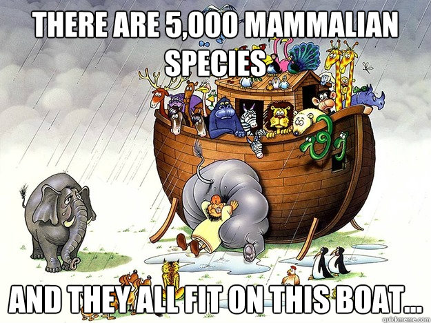 There are 5,000 mammalian species And they all fit on this boat...  Noahs Ark