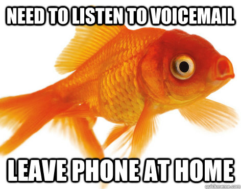 need to listen to voicemail  leave phone at home  Forgetful Fish