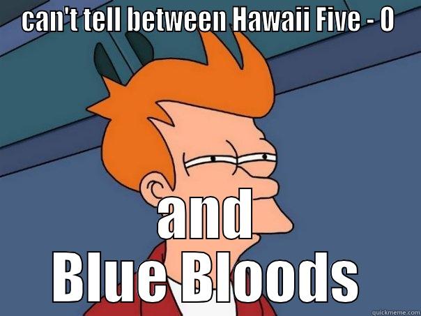CAN'T TELL BETWEEN HAWAII FIVE - O AND BLUE BLOODS Futurama Fry
