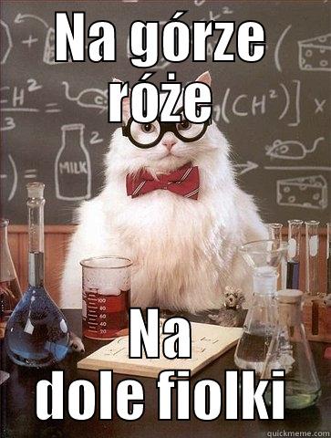 NA GÓRZE RÓŻE NA DOLE FIOLKI Chemistry Cat