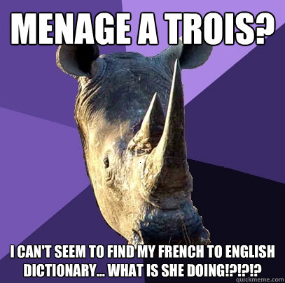 Menage a trois? I can't seem to find my french to english dictionary... what is she doing!?!?!?  Sexually Oblivious Rhino
