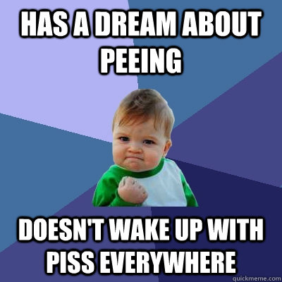 Has a dream about peeing Doesn't wake up with piss everywhere  Success Kid