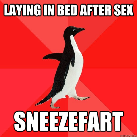 Laying in bed after sex Sneezefart - Laying in bed after sex Sneezefart  Socially Awesome Penguin