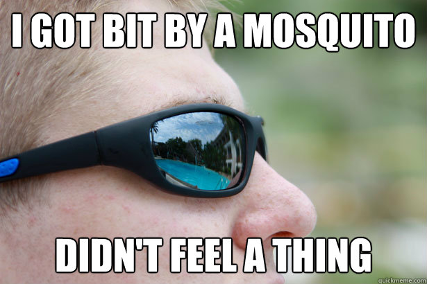 I got bit by a mosquito  Didn't feel a thing - I got bit by a mosquito  Didn't feel a thing  Tough Guy Grant