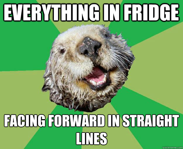 everything in fridge facing forward in straight lines  OCD Otter