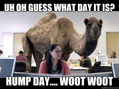 Uh Oh guess what day it is? Hump day.... woot woot - Uh Oh guess what day it is? Hump day.... woot woot  Hump Day Camel