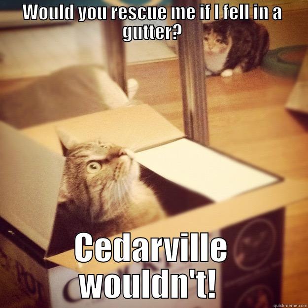 WOULD YOU RESCUE ME IF I FELL IN A GUTTER? CEDARVILLE WOULDN'T!  Cats wife