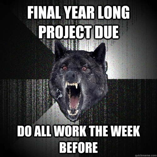 final year long project due Do all work the week before  Insanity Wolf