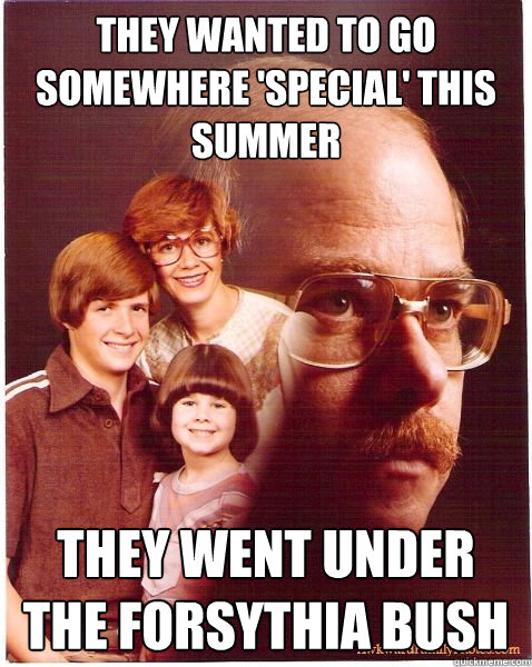 They wanted to go somewhere 'special' this summer they went under the forsythia bush  Vengeance Dad