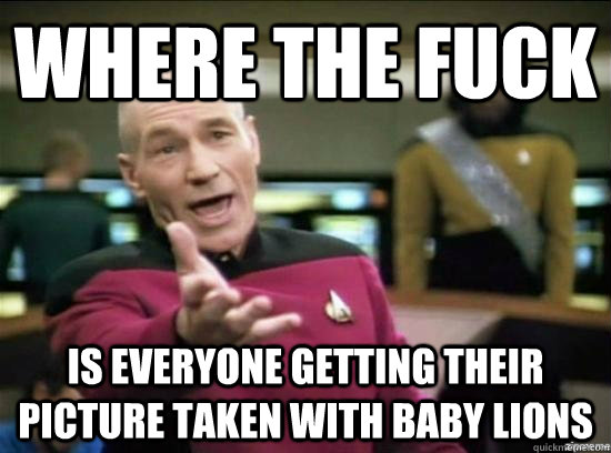 Where the fuck is everyone getting their picture taken with baby lions  Annoyed Picard HD