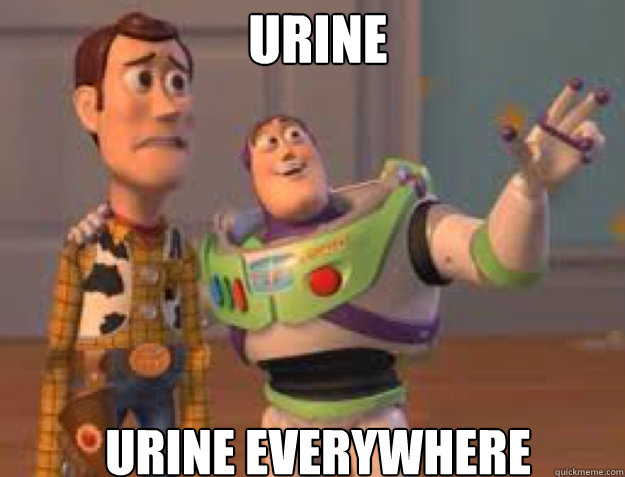 urine urine everywhere  