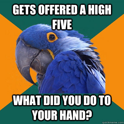 gets offered a high five what did you do to your hand?  Paranoid Parrot