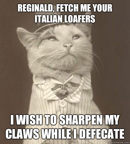 Reginald, fetch me your Italian loafers I wish to sharpen my claws while I defecate - Reginald, fetch me your Italian loafers I wish to sharpen my claws while I defecate  Aristocat