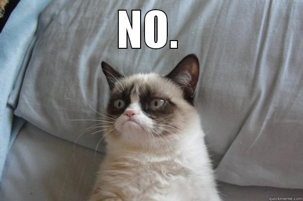 NO.  Grumpy Cat
