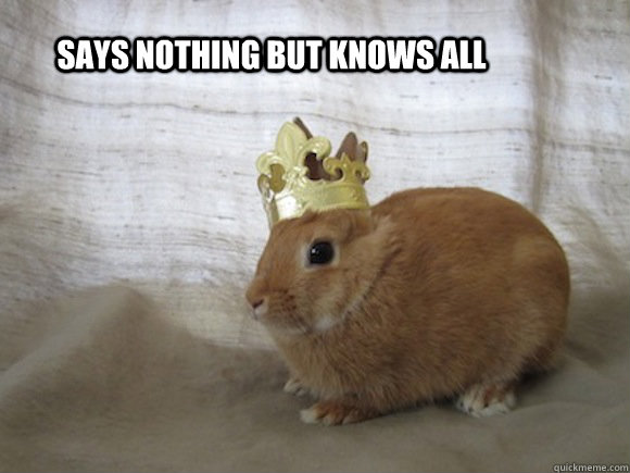 says nothing but knows all - says nothing but knows all  Renaissance Rabbit