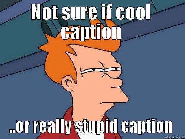 NOT SURE IF COOL CAPTION ..OR REALLY STUPID CAPTION Futurama Fry