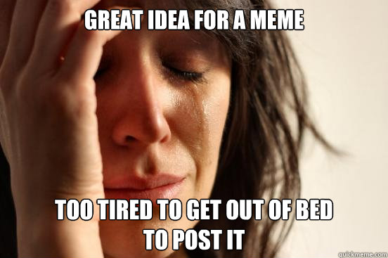 great idea for a meme too tired to get out of bed                      to post it  First World Problems