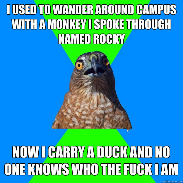 I used to wander around campus with a monkey i spoke through named rocky Now I carry a duck and no one knows who the fuck i am - I used to wander around campus with a monkey i spoke through named rocky Now I carry a duck and no one knows who the fuck i am  Hawkward