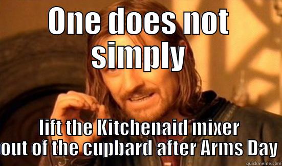 ONE DOES NOT SIMPLY LIFT THE KITCHENAID MIXER OUT OF THE CUPBARD AFTER ARMS DAY Boromir
