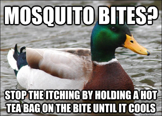 Mosquito bites? stop the itching by holding a hot tea bag on the bite until it cools  Actual Advice Mallard
