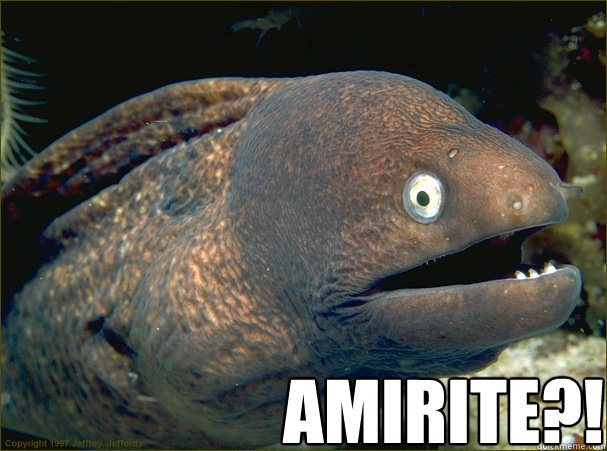  AMIRITE?!  Bad Joke Eel