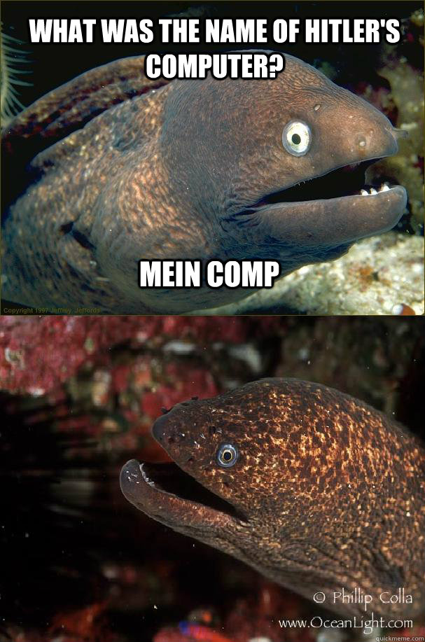 What was the name of Hitler's computer? Mein comp - What was the name of Hitler's computer? Mein comp  Bad joke eels makes a friend