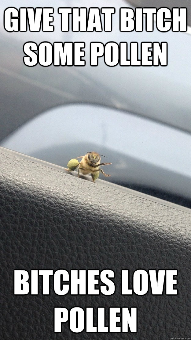 Give that bitch some pollen Bitches love pollen - Give that bitch some pollen Bitches love pollen  Loaded Bee