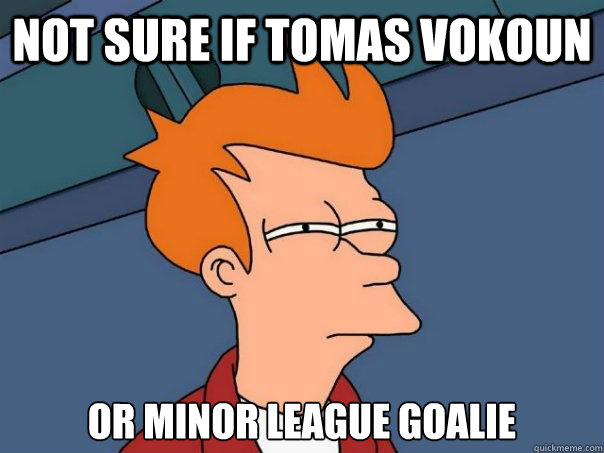 not sure if Tomas Vokoun  or minor league goalie  Futurama Fry