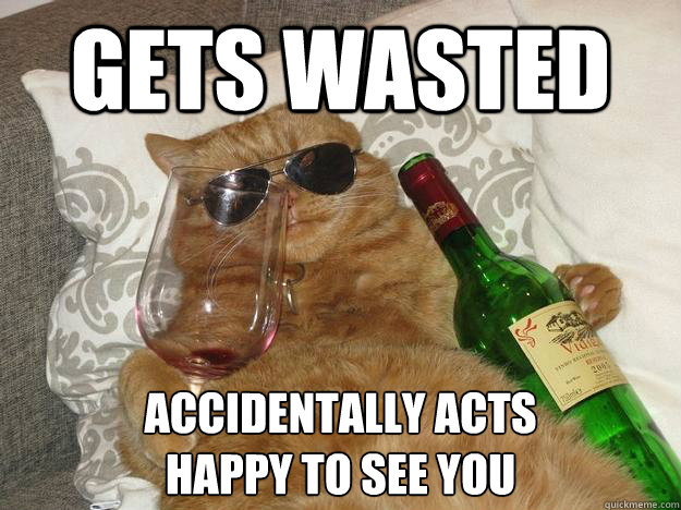 Gets wasted Accidentally acts 
happy to see you  Party Cat