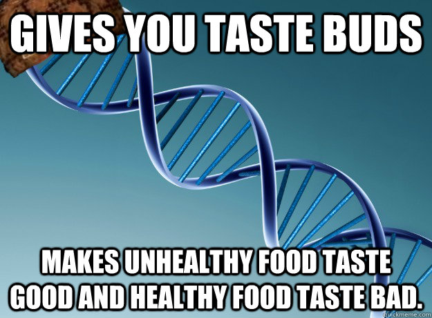 Gives you taste buds Makes unhealthy food taste good and healthy food taste bad.  Scumbag DNA