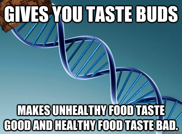 Gives you taste buds Makes unhealthy food taste good and healthy food taste bad. - Gives you taste buds Makes unhealthy food taste good and healthy food taste bad.  Scumbag DNA