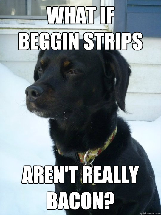 What if
beggin strips aren't really bacon? - What if
beggin strips aren't really bacon?  Philosophical Puppy