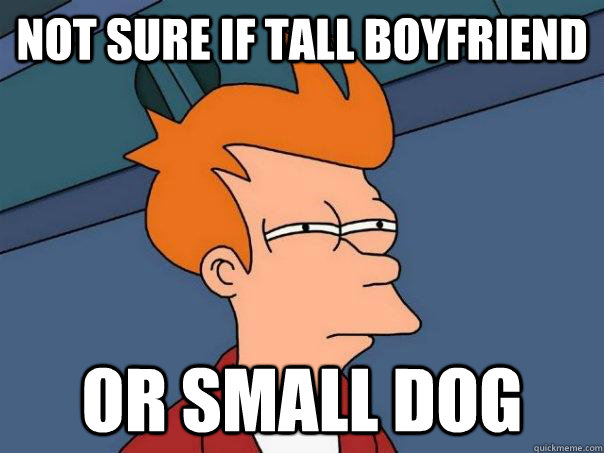 Not sure if tall boyfriend Or small dog  Futurama Fry