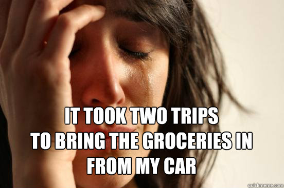 
 it took two trips 
to bring the groceries in 
from my car  First World Problems