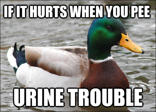 If it hurts when you pee Urine trouble - If it hurts when you pee Urine trouble  Actual Advice Mallard