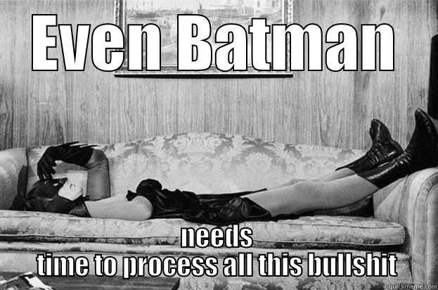 EVEN BATMAN NEEDS TIME TO PROCESS ALL THIS BULLSHIT Misc