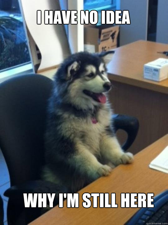 I have no idea why i'm still here - I have no idea why i'm still here  Misc