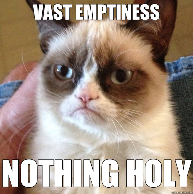 VAST EMPTINESS NOTHING HOLY  