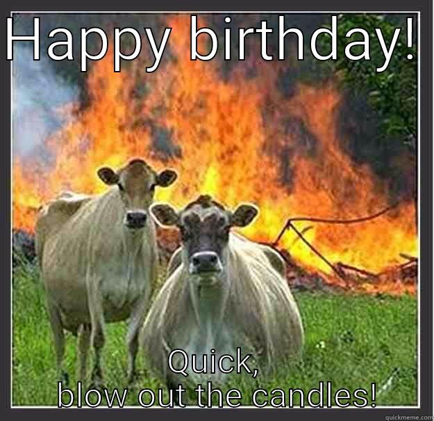 HAPPY BIRTHDAY!  QUICK,  BLOW OUT THE CANDLES! Evil cows