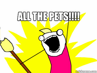 All the pets!!!!   All The Things