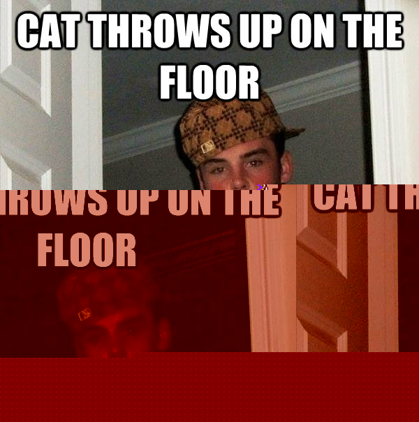 cat throws up on the floor waits for someone else to clean it up  Scumbag Steve