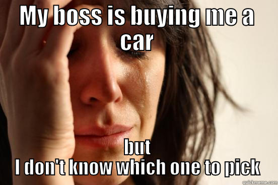 MY BOSS IS BUYING ME A CAR BUT I DON'T KNOW WHICH ONE TO PICK First World Problems