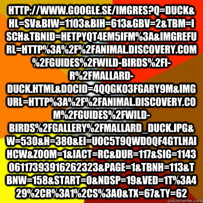 http://www.google.se/imgres?q=duck&hl=sv&biw=1103&bih=613&gbv=2&tbm=isch&tbnid=HEtpyQT4Em5iFM%3A&imgrefurl=http%3A%2F%2Fanimal.discovery.com%2Fguides%2Fwild-birds%2Fi-r%2Fmallard-duck.html&docid=4QqGko3FGary9M&imgurl=http%3A%2F%2Fanimal.discovery.com%2Fgu  Tech Impaired Duck