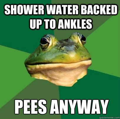 Shower water backed up to ankles Pees anyway  Foul Bachelor Frog
