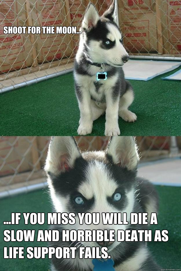 Shoot for the moon...

 ...If you miss you will die a slow and horrible death as life support fails. - Shoot for the moon...

 ...If you miss you will die a slow and horrible death as life support fails.  Insanity puppy